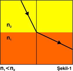 Fom-Cd-FibHak-01.jpg (49344 bytes)