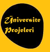 Profesyonel Hayatım Boyunca Yaptığım Bazı BT Projeleri